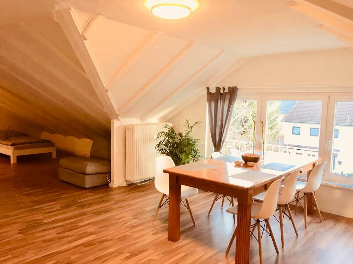 Grosse Dachgeschosswohnung Mit Kueche Und Badezimmer An Der Uniklinik Homburg Homburg  Ngoại thất bức ảnh
