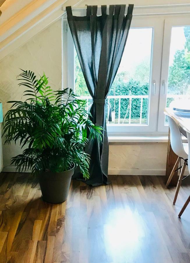 Grosse Dachgeschosswohnung Mit Kueche Und Badezimmer An Der Uniklinik Homburg Homburg  Ngoại thất bức ảnh