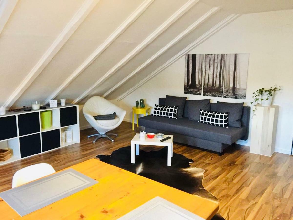Grosse Dachgeschosswohnung Mit Kueche Und Badezimmer An Der Uniklinik Homburg Homburg  Ngoại thất bức ảnh